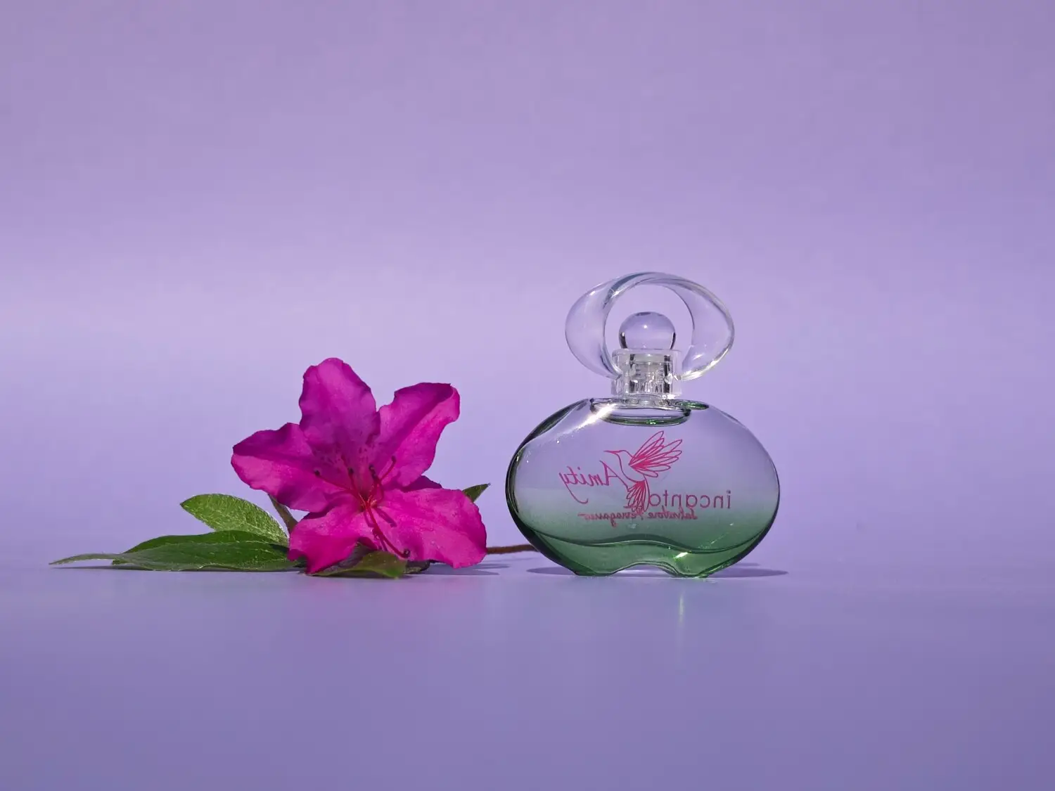 عطر ادکلن سالواتوره فراگامو اینکانتو آمیتی | Salvatore Ferragamo Incanto Amity