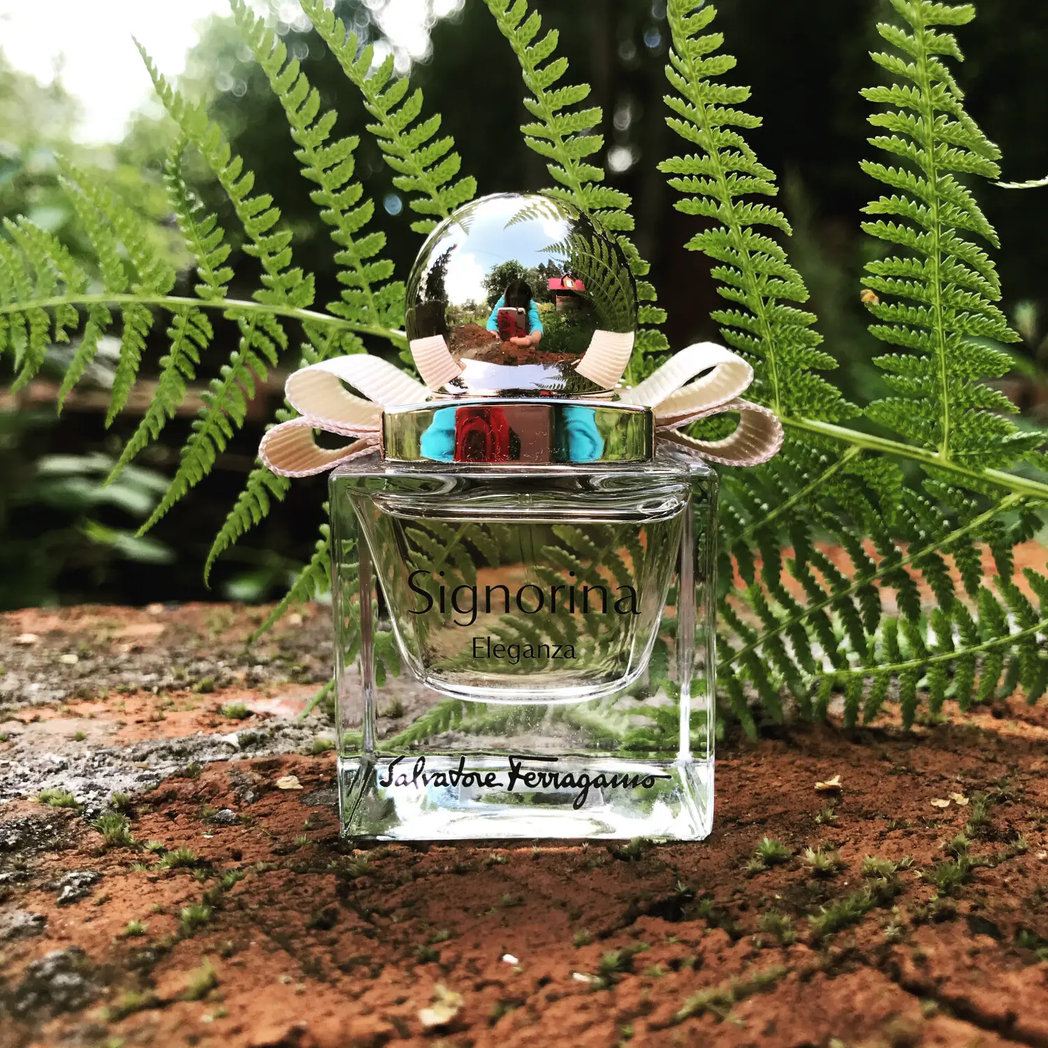 عطر ادکلن سالواتوره فراگامو سیگنورینا الگانزا | Salvatore Ferragamo Signorina Eleganza
