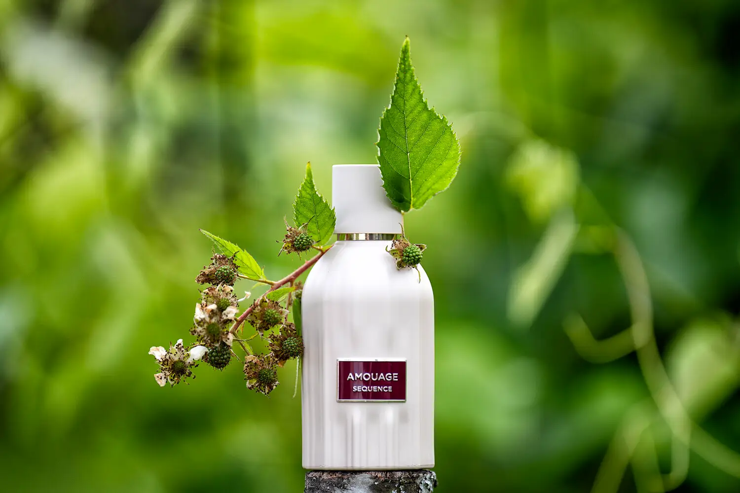 عطر ادکلن آمواج سیکوئنس | Amouage Sequence