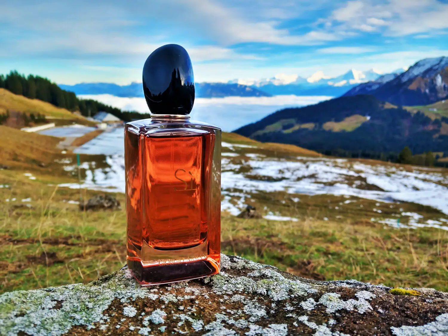 عطر ادکلن جورجیو آرمانی سی اینتنس ۲۰۲۱ | Giorgio Armani Si Intense 2021