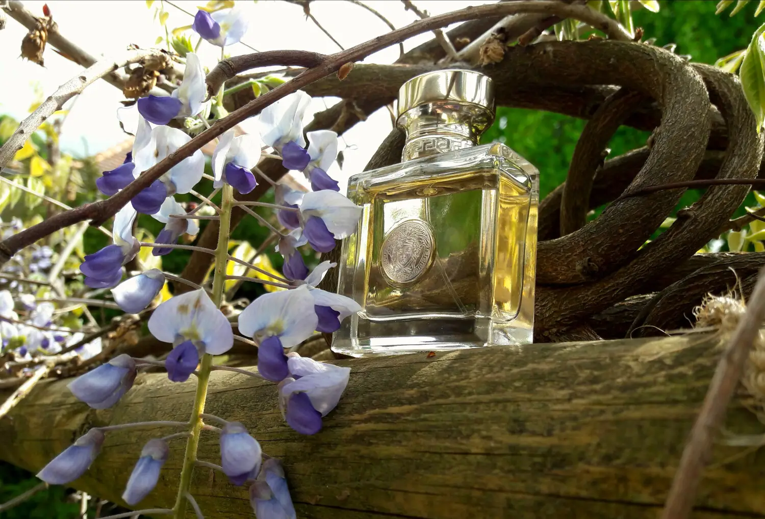 عطر ادکلن ورساچه پور فم | Versace Versace Pour Femme