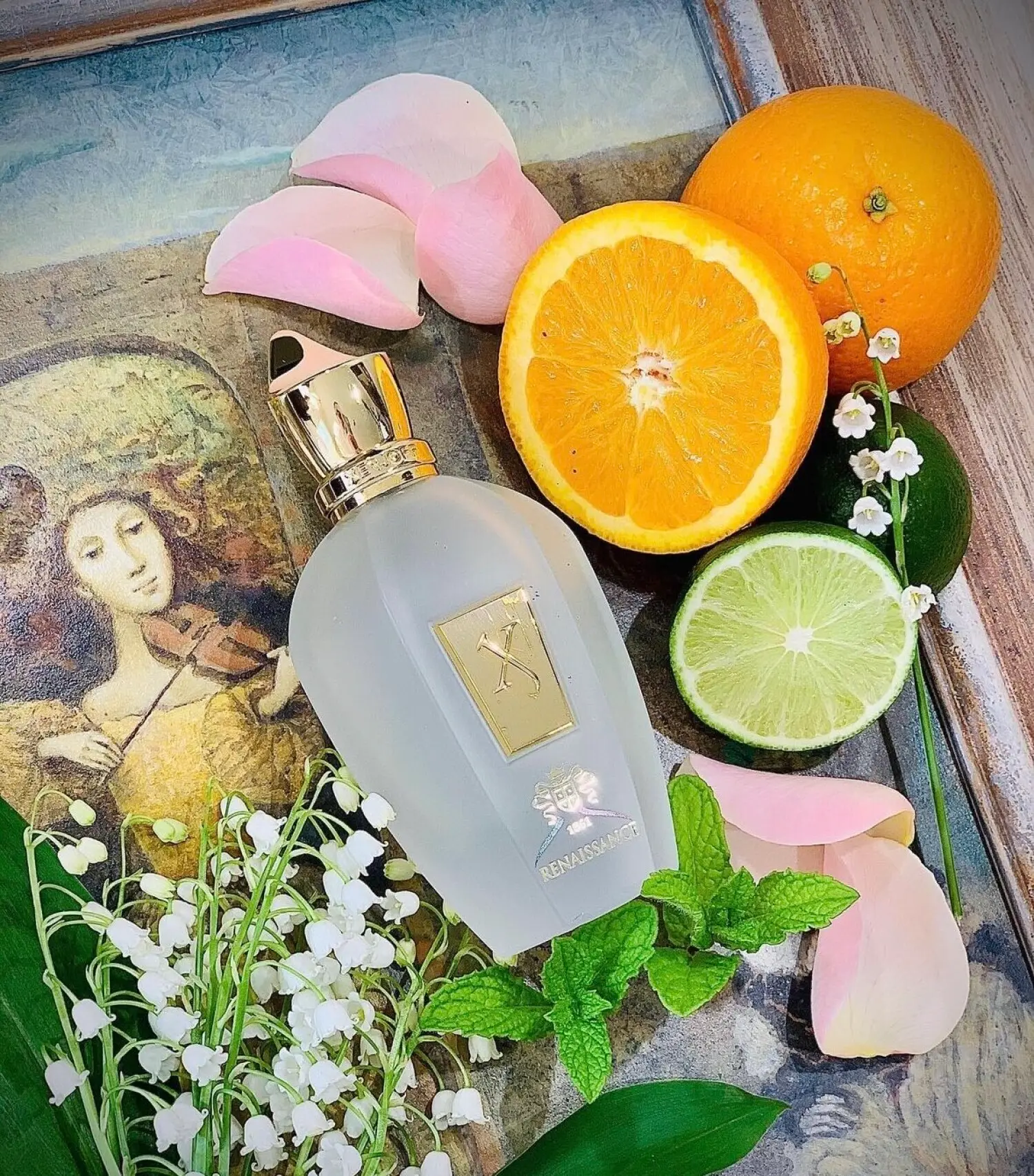 عطر ادکلن زرجوف رنسانس | Xerjoff XJ 1861 Renaissance