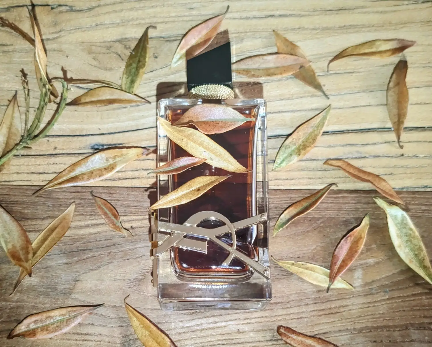 عطر ادکلن ایو سن لورن لیبره له پارفوم | YSL Libre Le Parfum