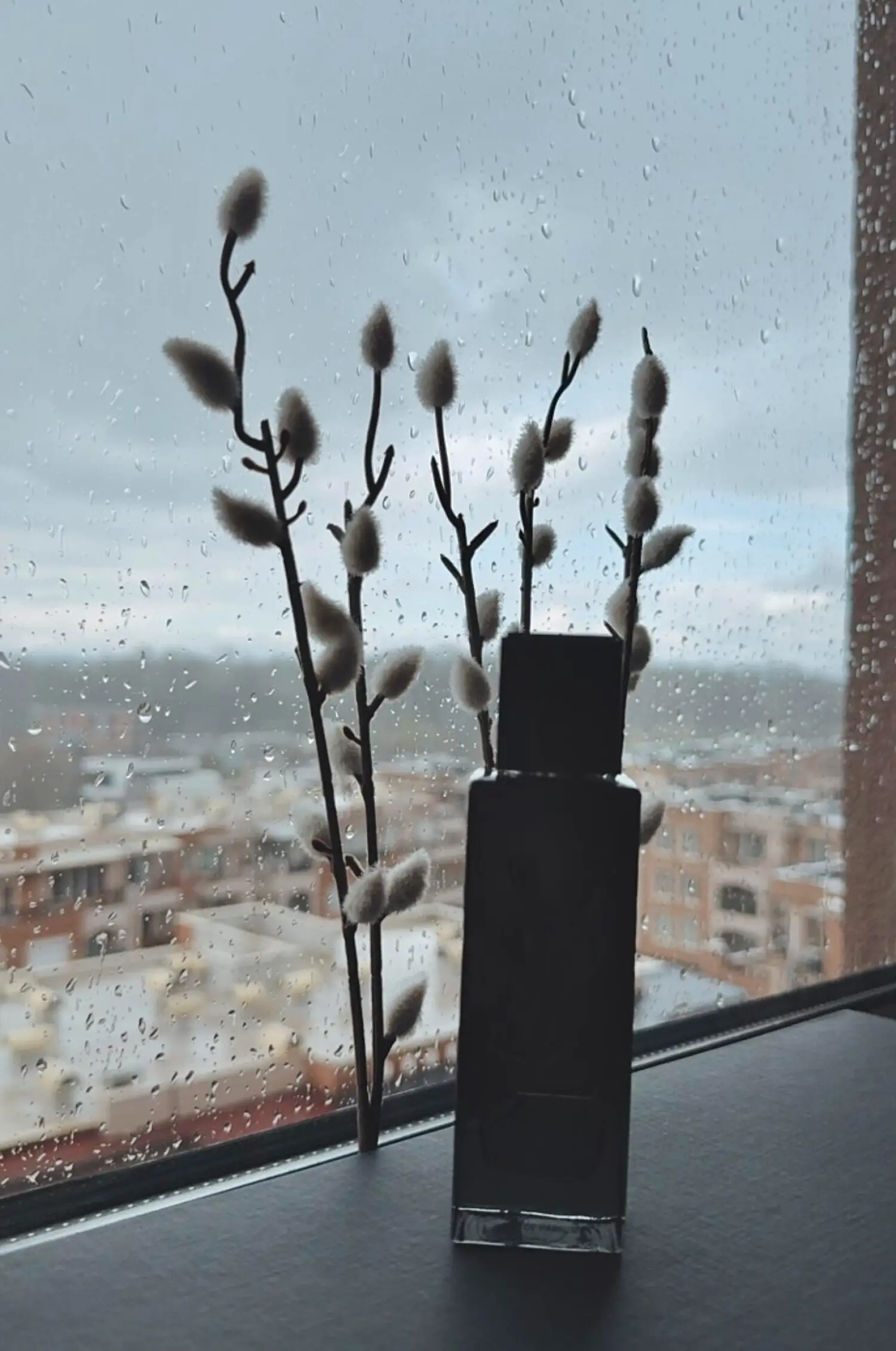 عطر ادکلن ایو سن لورن مای سلف | Yves Saint Lauren MYSLF