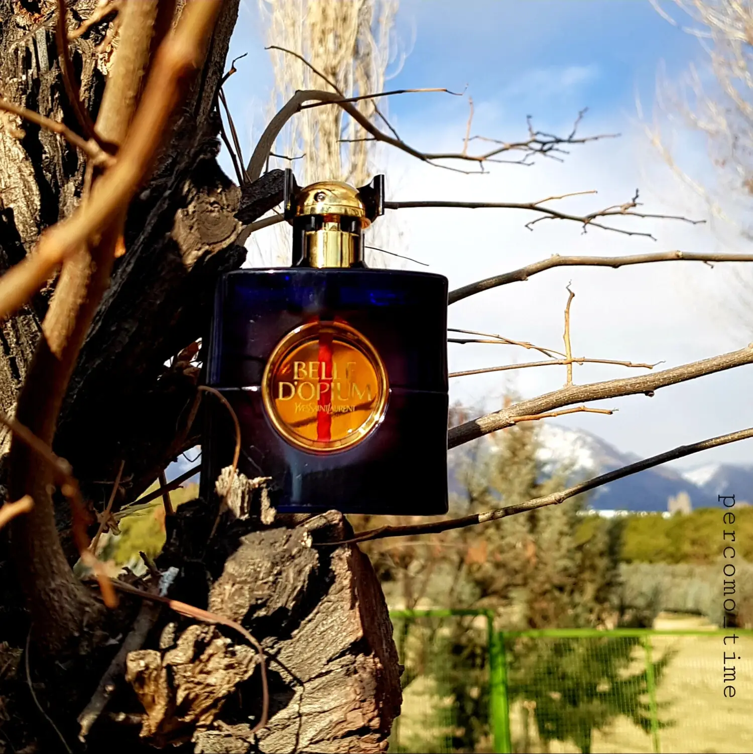 عطر ادکلن ایو سن لورن بل د اپیوم | Yves Saint Laurent Belle D Opium