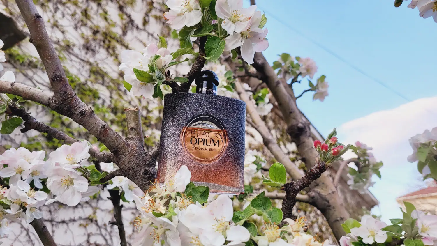 عطر ادکلن ایو سن لورن بلک اوپیوم فلورال شوک | Yves Saint Laurent Black Opium Floral Shock
