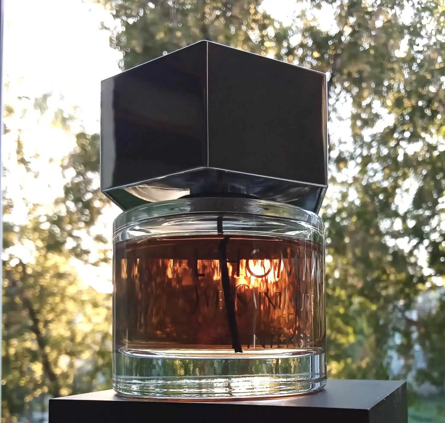 عطر ادکلن ایو سن لورن ال هوم پرفیوم اینتنس | Yves Saint Laurent L’Homme Parfum Intense