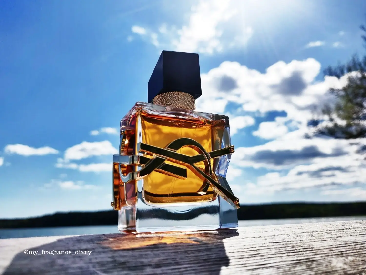 عطر ادکلن ایو سن لورن لیبر اینتنس | Yves Saint Laurent Libre Intense