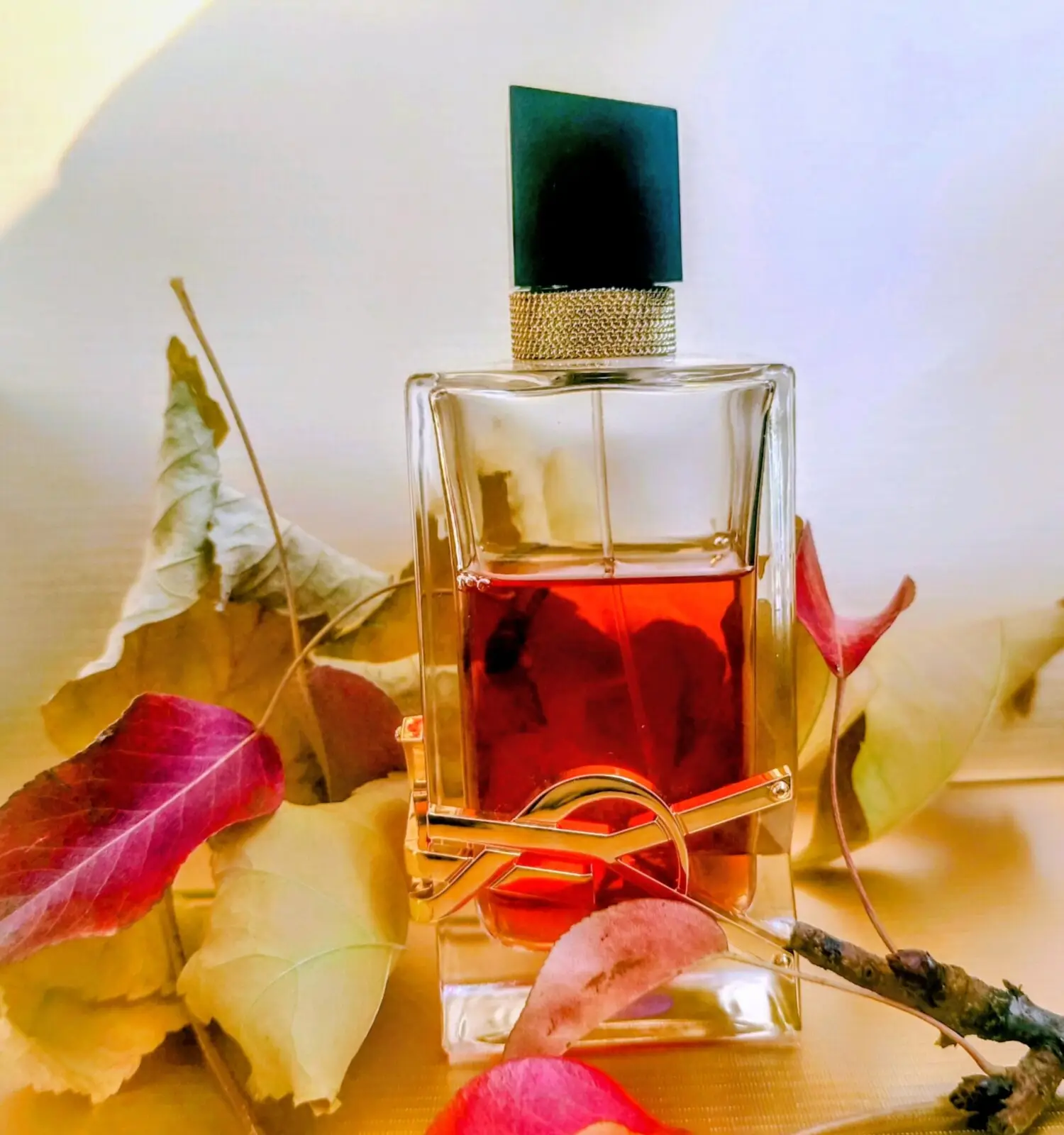 عطر ادکلن ایو سن لورن لیبر اینتنس | Yves Saint Laurent Libre Intense
