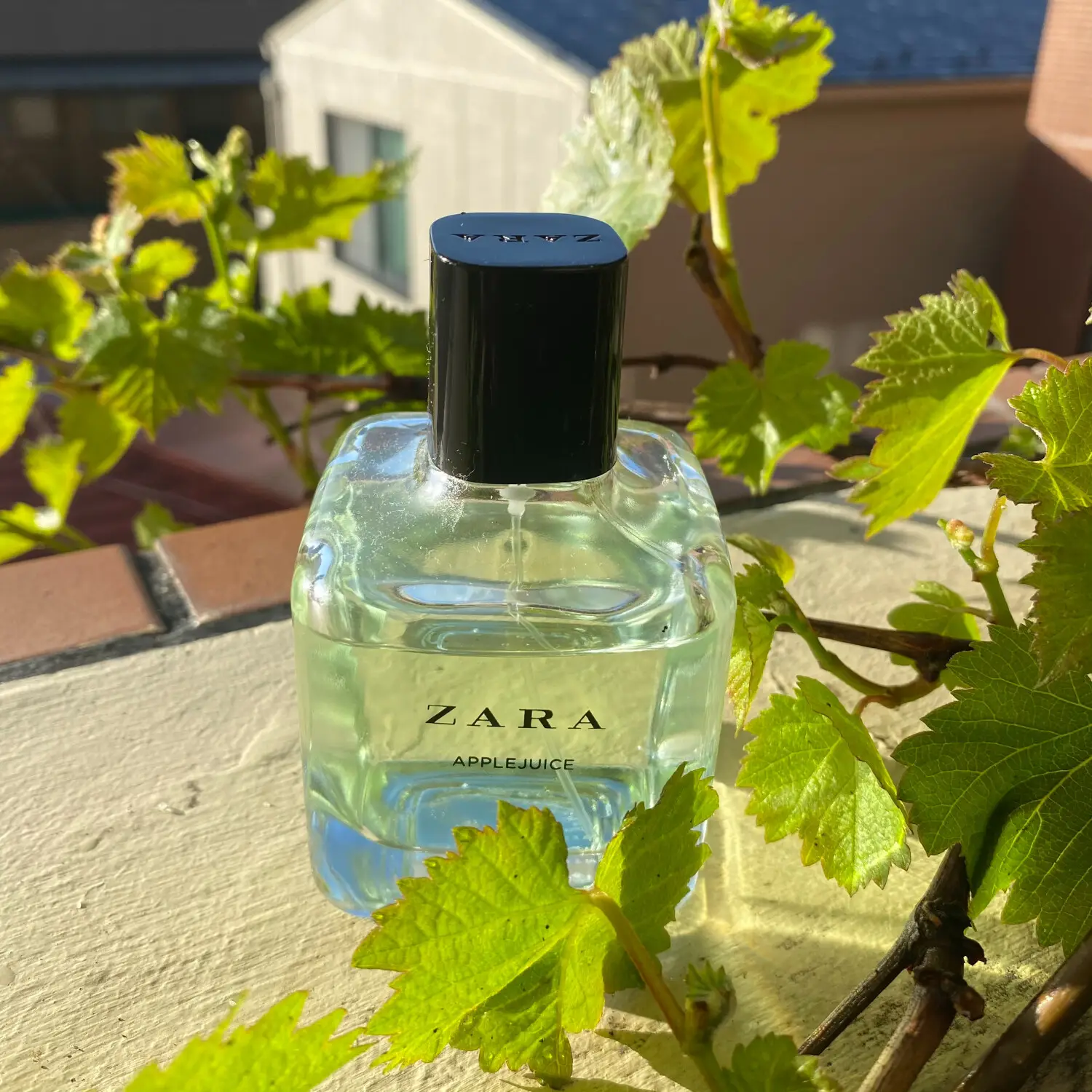 عطر ادکلن زارا اپل جویس | Zara Applejuice 180ml
