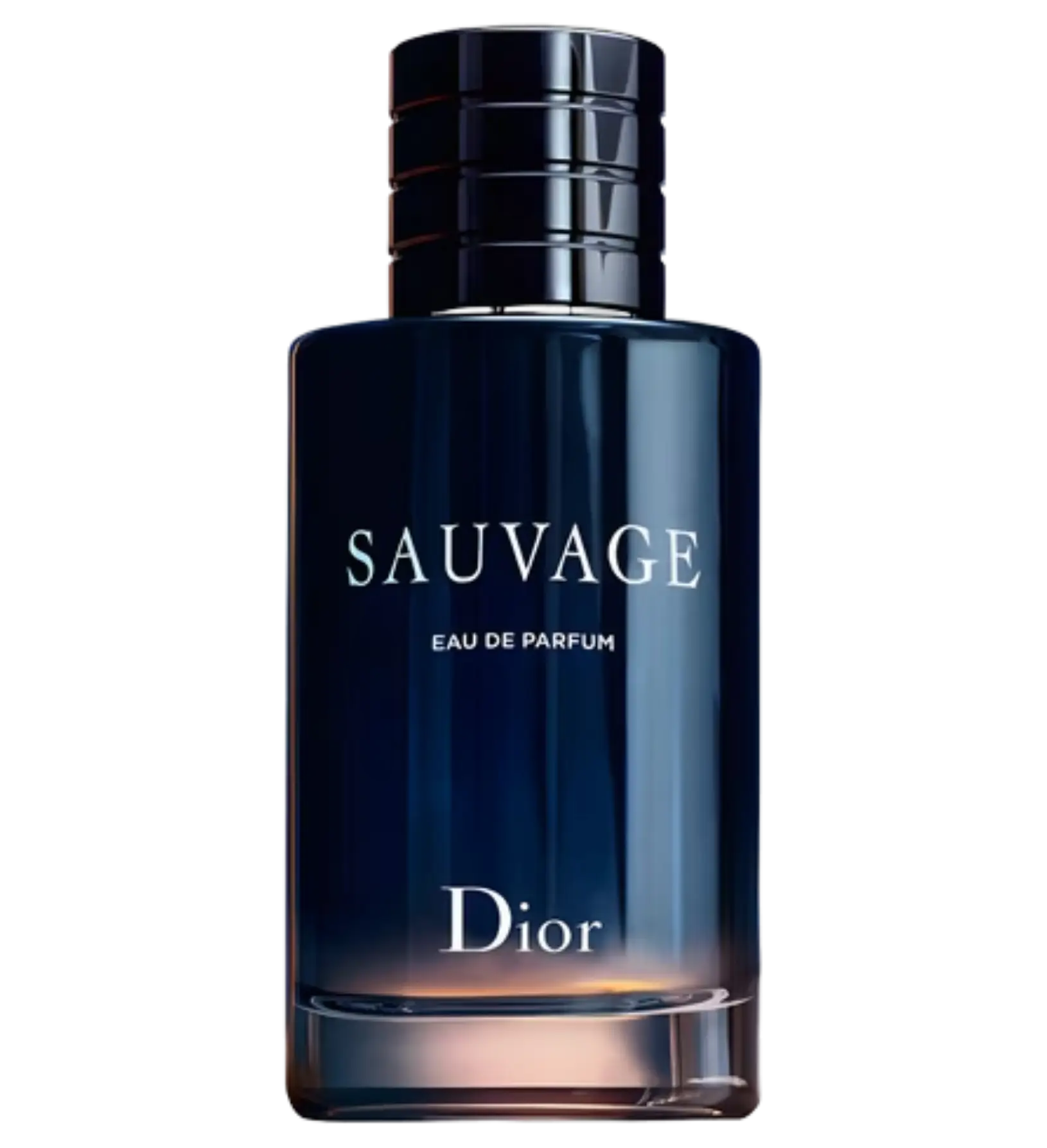 عطر ادکلن دیور ساواج ادو پرفیوم | Dior Sauvage Eau de Parfum