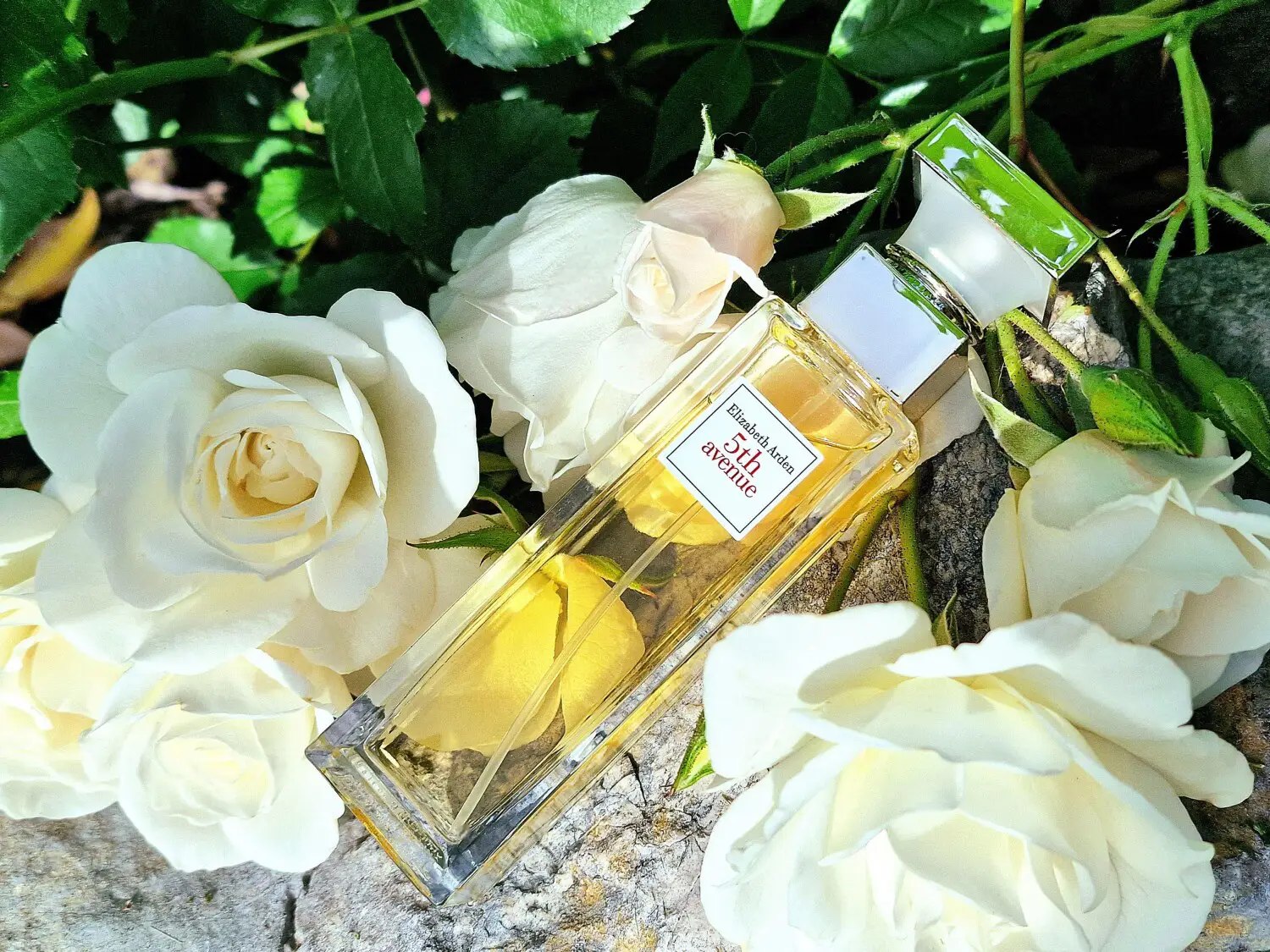 عطر ادکلن الیزابت آردن فیفت اونیو | Elizabeth Arden 5th Avenue