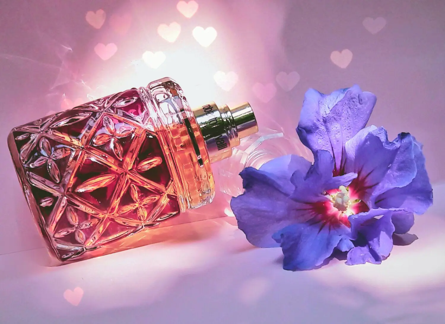 عطر ادکلن روبرتو کاوالی فلورنس | Roberto Cavalli Florence