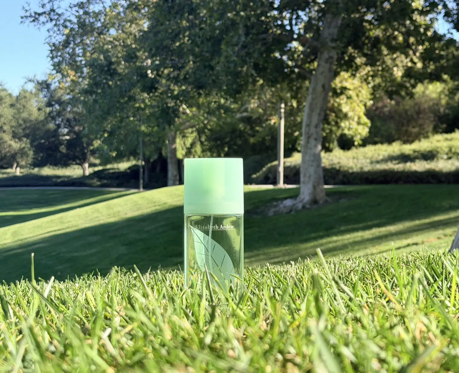عطر ادکلن الیزابت آردن گرین تی | Elizabeth Arden Green Tea
