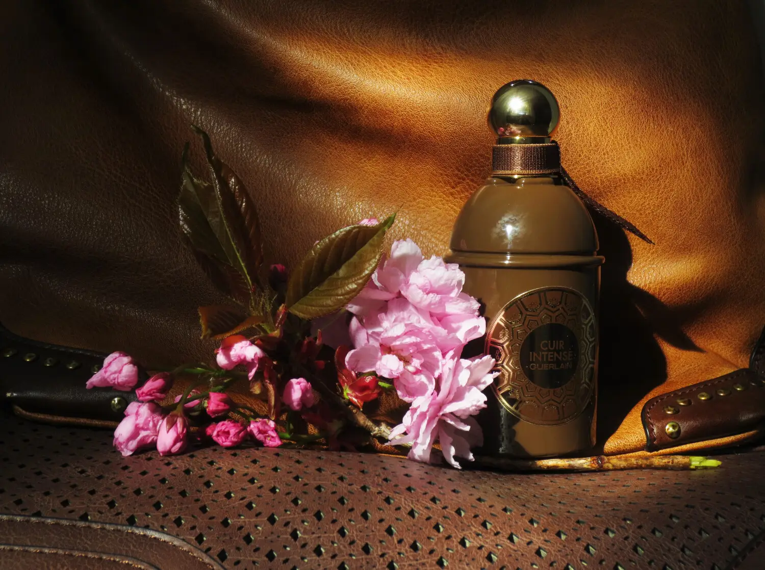 عطر ادکلن گرلن کویر اینتنس | Guerlain Les Absolus d Orient Cuir Intense