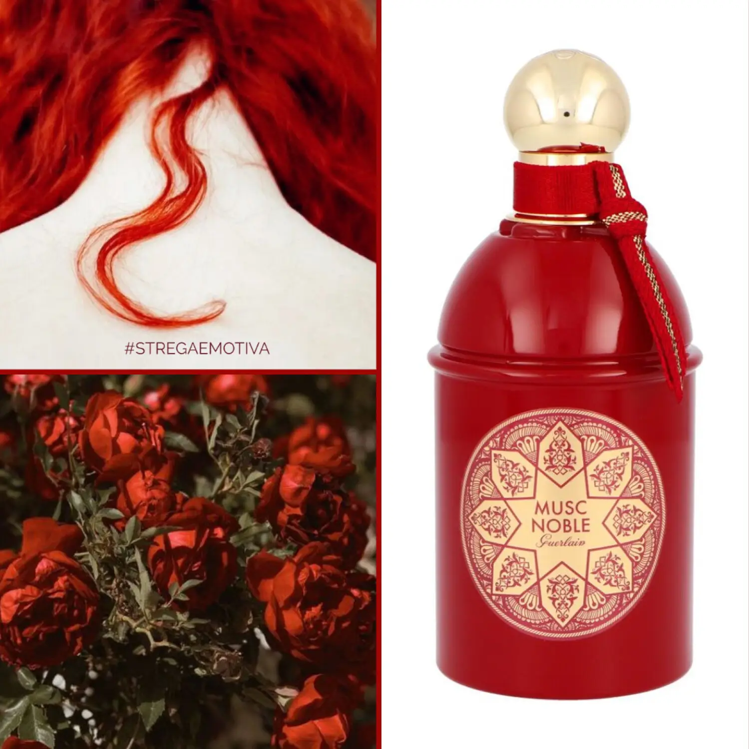 عطر ادکلن گرلن ماسک نوبل | Guerlain Les Absolus d Orient Musc Noble