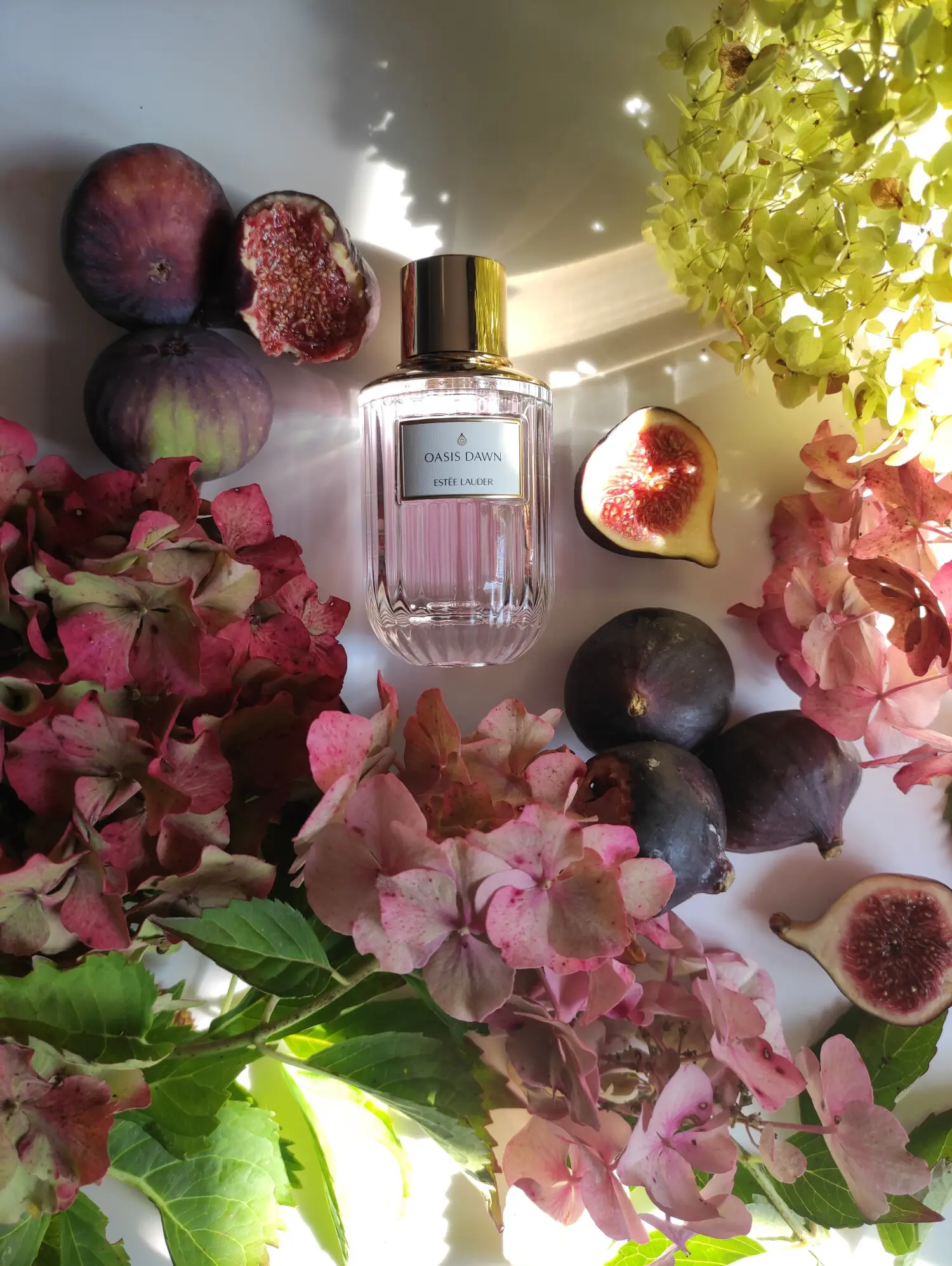 عطر ادکلن استی لودر اسیس داون | Estee Lauder Oasis Dawn
