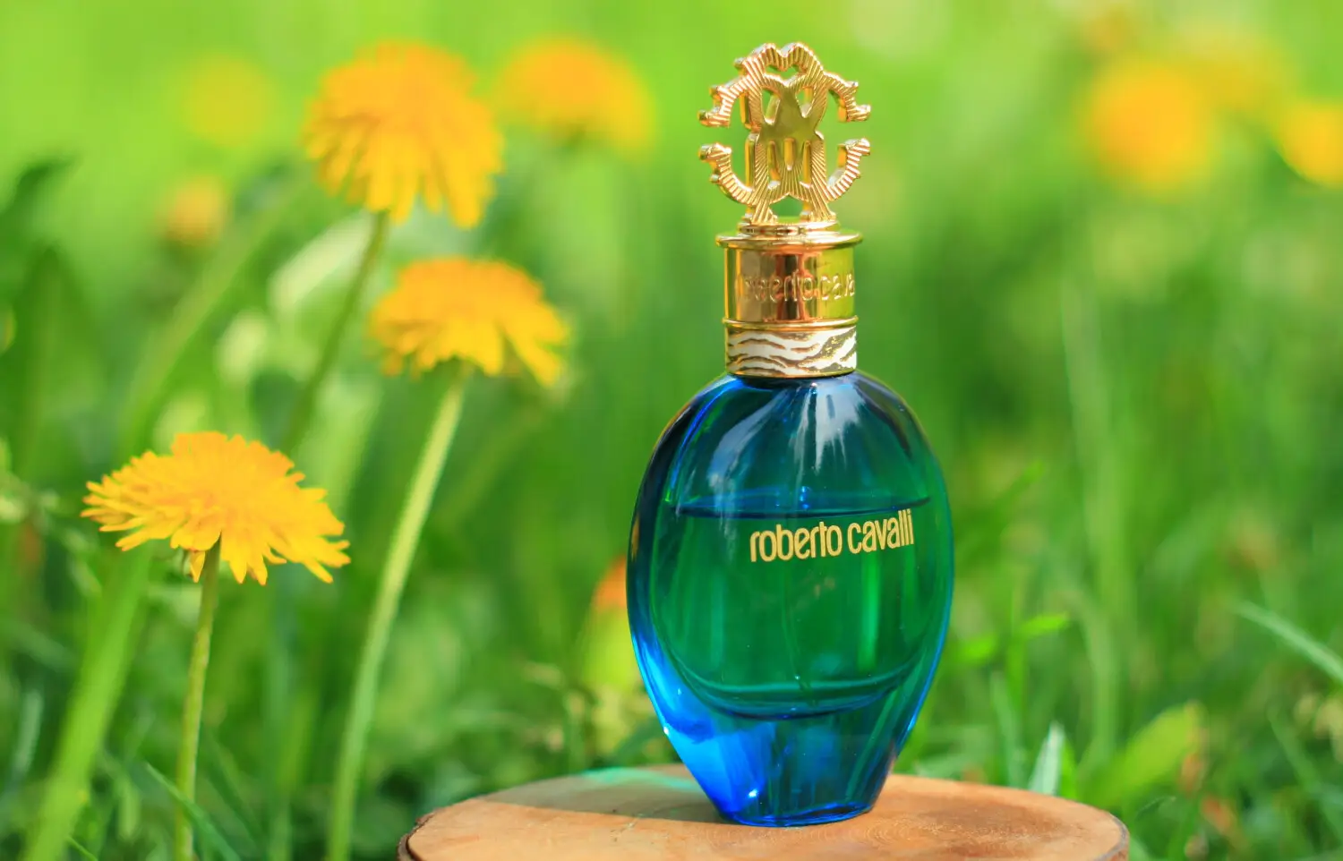 عطر ادکلن روبرتو کاوالی آکوا | Roberto Cavalli Roberto Cavalli Acqua