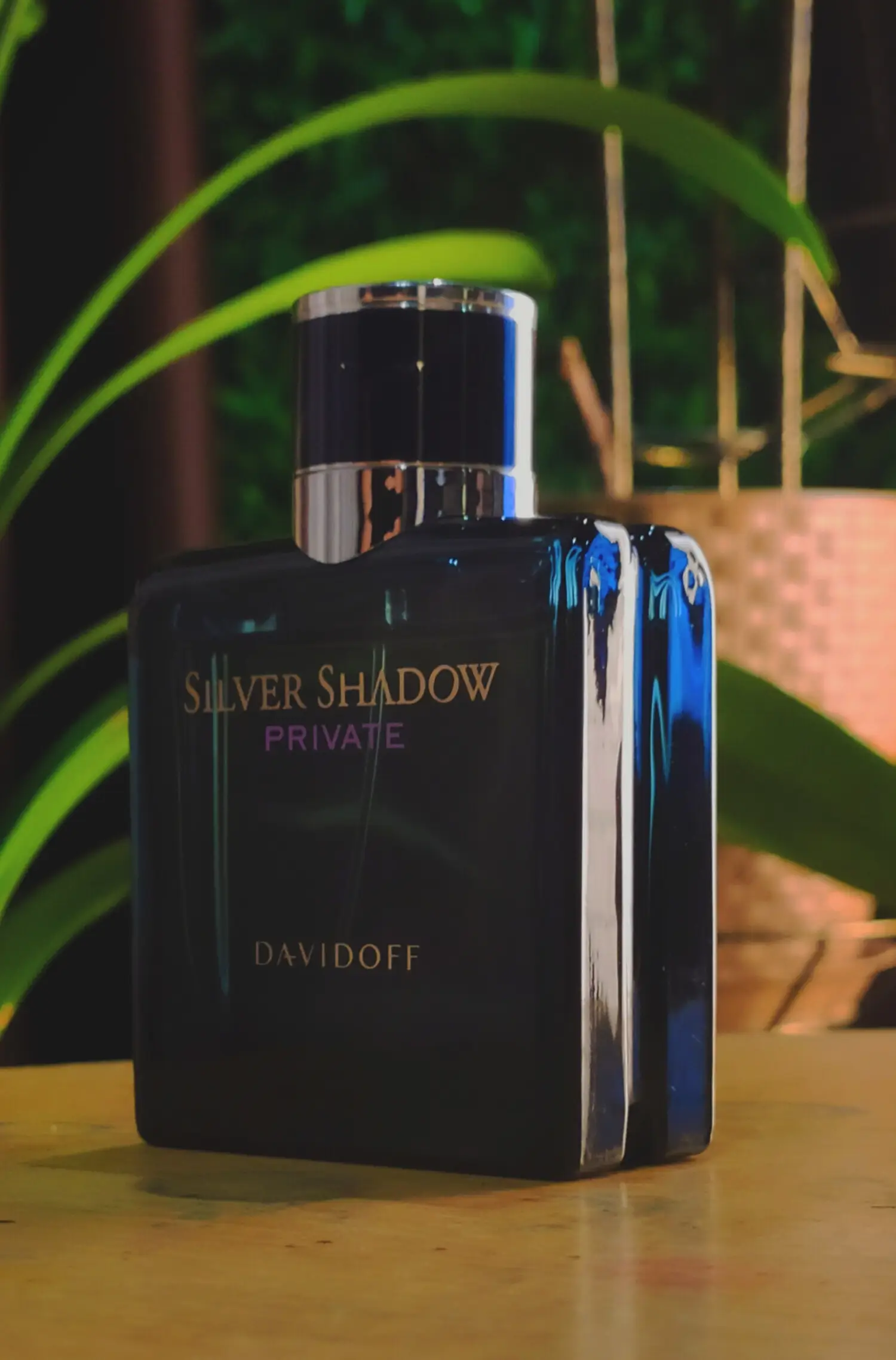 عطر ادکلن دیویدوف سیلور شادو پرایوت | Davidoff Silver Shadow Private