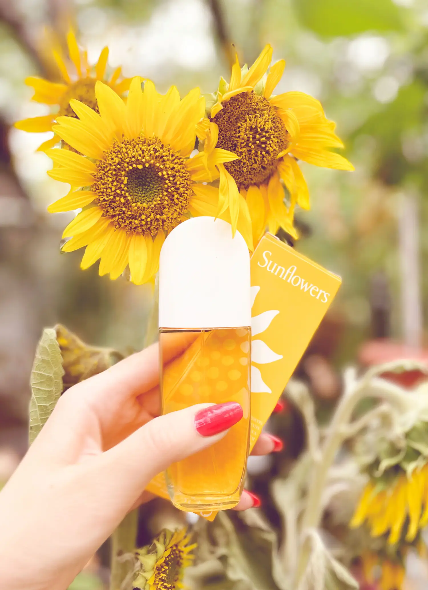 عطر ادکلن الیزابت آردن سان فلاورز | Elizabeth Arden Sunflowers