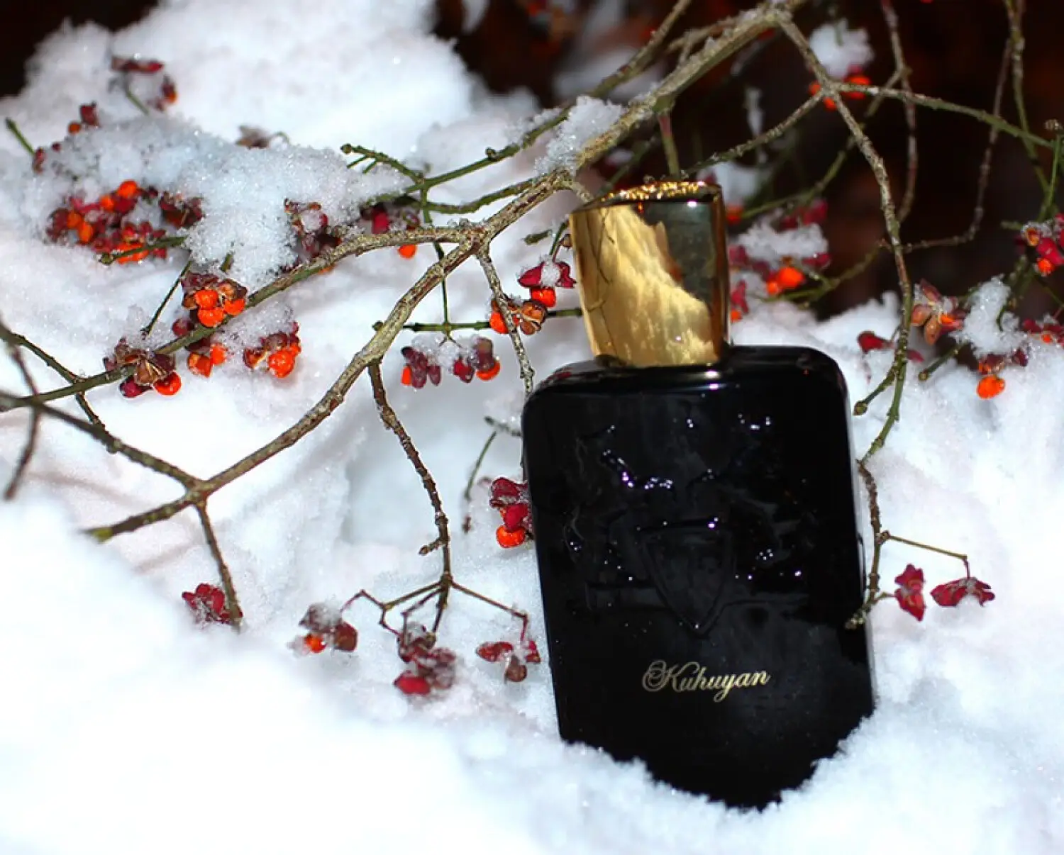 عطر ادکلن پارفومز د مارلی کوهویان | Parfums de Marly Kuhuyan