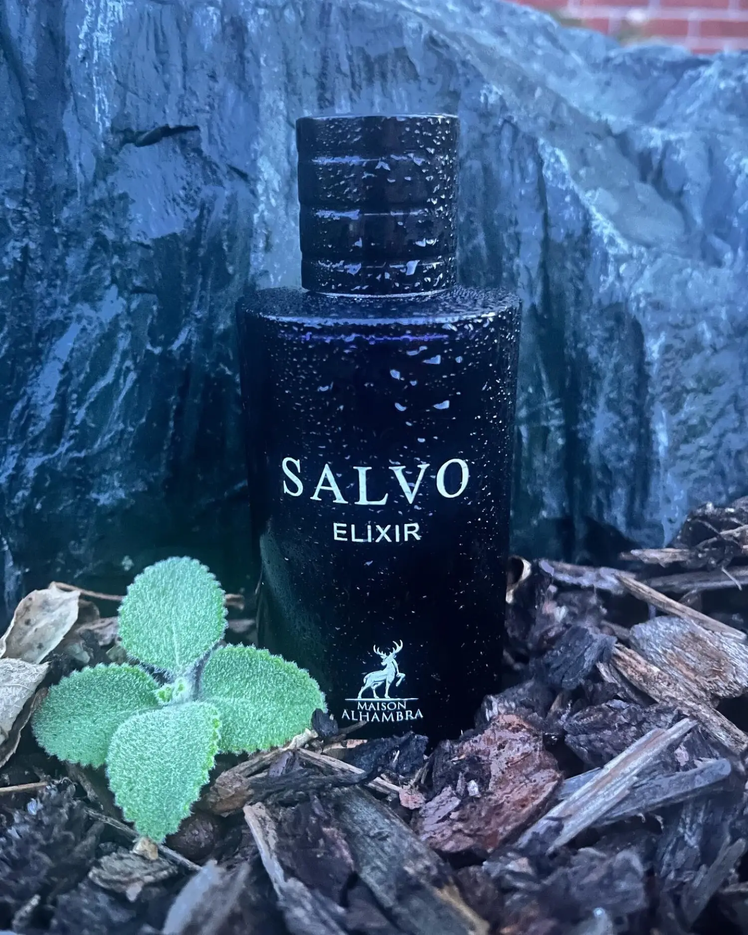 عطر ادکلن الحمبرا سالوو الکسیر (ساواج الکسیر) | Maison Alhambra Salvo Elixir