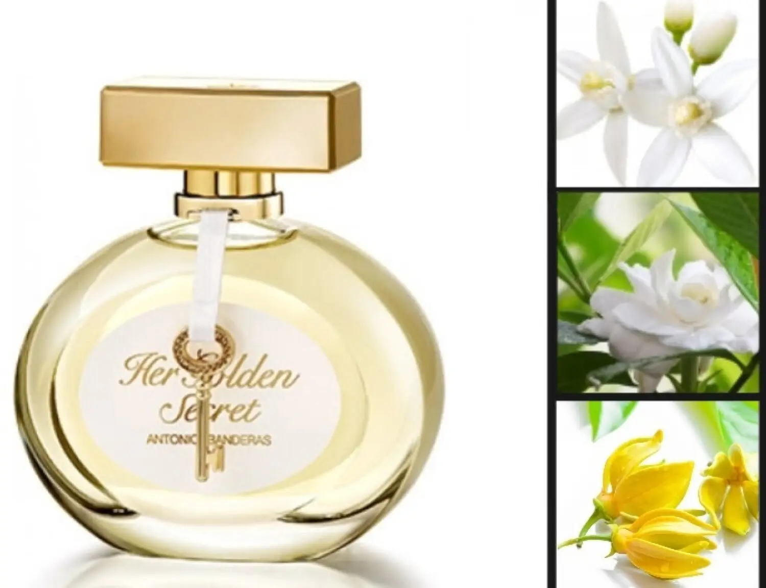 عطر ادکلن آنتونیو باندراس هر گلدن سکرت | Antonio Banderas Her Golden Secret