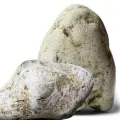 نت آمبرگریس