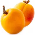 شلیل