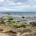 Aquozone