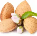 نت بادام شیرین