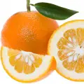 نت پرتقال تلخ