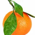 نارنگی قرمز