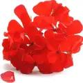 bourbon geranium