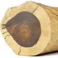 چوب رزوود برزیلی