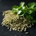 گشنیز
