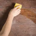 نت خاک