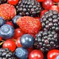 Forest Fruits