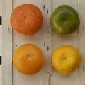 نارنگی سبز
