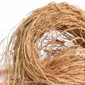 وتیور هائیتی