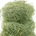 hay