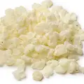 ماستیک یا لِنتیسک