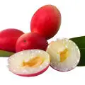 miracle berry