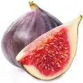 نت جوز هندی