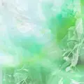 نیمفال