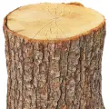 oak