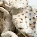 زنبق