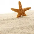 شن