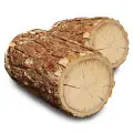 نت چوب تاناکا