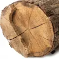 دانه تونکا